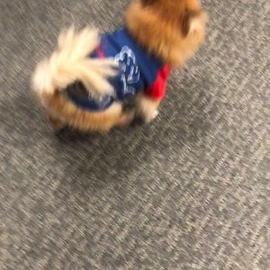 Meet your Posher, Kelen